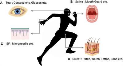 Wearable device for continuous sweat lactate monitoring in sports: a narrative review